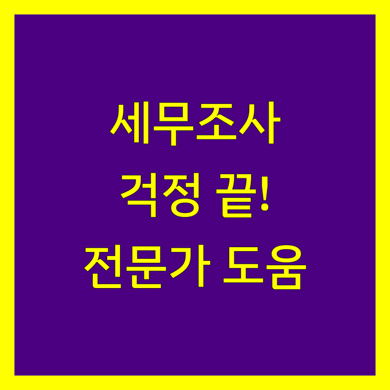 세무조사, 더 이상 걱정하지 마세요! 서울시 최고의 전문가들이 도와드립니다.
