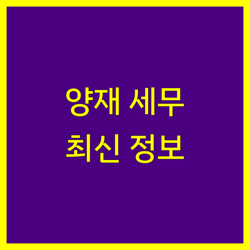 서초구 양재동 세무회계사무소 한눈에 비교 | 2025년 최신 정보 총정리