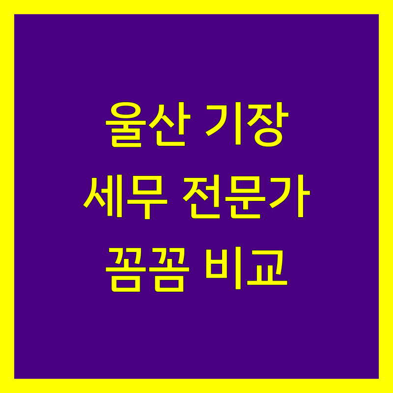 울산 세무기장 꼼꼼 비교 | 전문가가 추천하는 BEST 선택