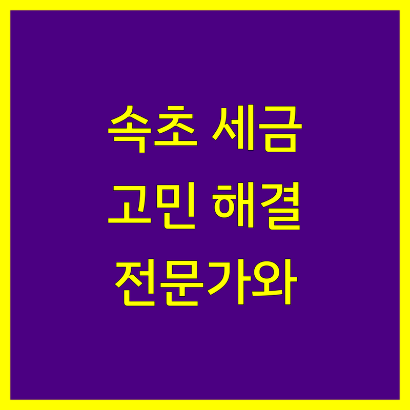 속초시 사업자 세금 고민, 믿음직한 세무 전문가와 함께 해결하세요!