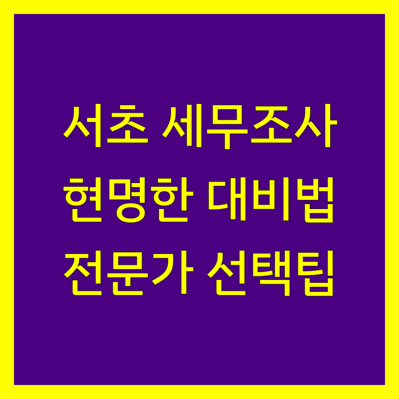 서울 서초구 세무조사, 현명하게 대비하는 방법! 전문가가 알려주는 선택 팁